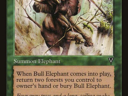 Bull Elephant [Visions] Fashion