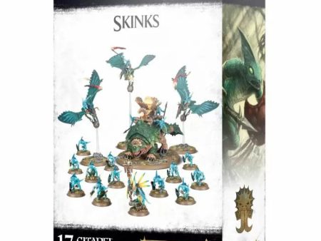 Start Collecting! Skinks Fashion