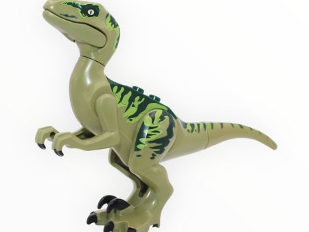 Charlie (olive green and dark green velociraptor) Online Sale