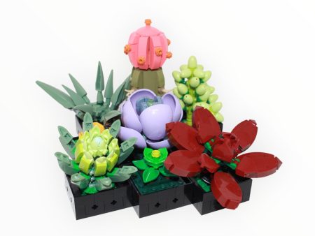 Used Set 10309 Botanical Collection Succulents Cheap